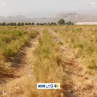 اجاره سه ۳ هکتار زمین کشاورزی چراغ آباد