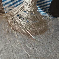 لوستر حصیری بامبو برای کافه  رستوران  باغ ویلا|لوستر و چراغ آویز|تهران, چیتگر شمالی|دیوار