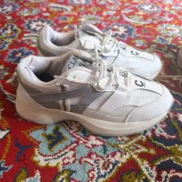 کفش|کیف، کفش، کمربند|آبدانان, |دیوار