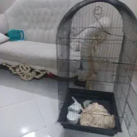 قفس پرنده