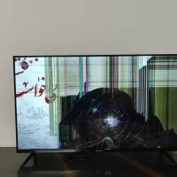 تلویزیون اسنوا هوشند