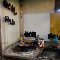 فر ساندویچی بدون کار