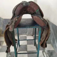 زین بختیاری