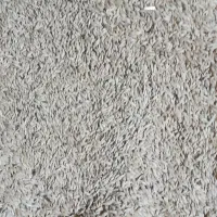 فروش گندم کوهدشت وجو محلی|گل و گیاه طبیعی|انگوت, |دیوار
