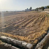 زمین کشاورزی واقع در اصفهان چمگردان
