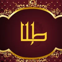 یک لنگه گوشواره گم شده