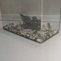 آکواریم سالم شیشه خم به همراه لوازم|ماهی|مشهد, رضاشهر|دیوار