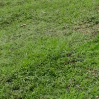 فروش یا معاوضه ۳۰۰ متر زمین