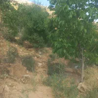 کارگر برای کار با خانواده در دامداری ضرغام اباد