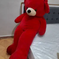 خرس ولنتاین