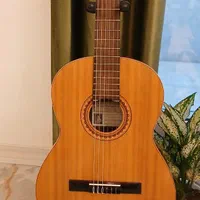 گیتار کلاسیک 10 Manoel rodregz|گیتار، بیس، امپلیفایر|رشت, چمارسرا|دیوار