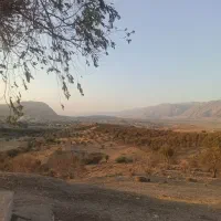 طوقی هفت رنگ