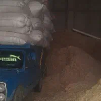 خرید وفروش کاه