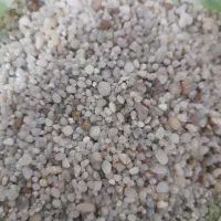 لوازم آکواریوم|ماهی|ارومیه, |دیوار