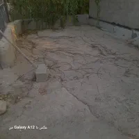 باغ انگور بادرختان بادام وغیره|فروش دفتر صنعتی، کشاورزی، تجاری|بشاریات, |دیوار