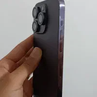 ایفون ۱۴پرو|موبایل|شیراز, گل سرخ|دیوار