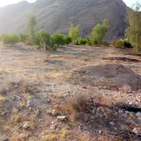1000زمین باغ لطیف آبادسنگ چارک|فروش زمین و ملک کلنگی|داراب, |دیوار