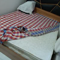 تخت خواب دونفره|تخت و سرویس خواب|رفسنجان, |دیوار