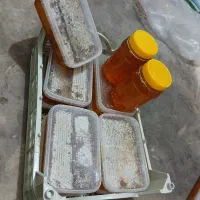 عسل‌طبیعی