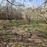 فروش-باغ-در-روستای-ارمک