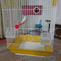 فروش مرغ عشق