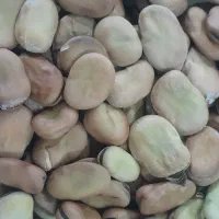 فروش بذر باقالا|خوردنی و آشامیدنی|دلند, |دیوار
