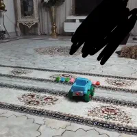 گل نیلوفر خارجی