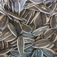 تخمه آفتابگردان s400