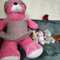 عروسک|اسباب‌‌بازی|شاهین دژ, |دیوار