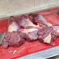 فیله گوساله پایین ترین قیمت تهران