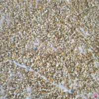 دارو گیاهی تازه