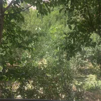 باغ ویلا ازغد