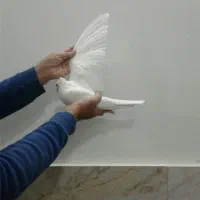 شازده سرور کبوتر