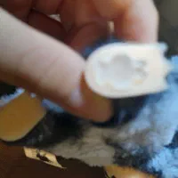 لبوبو سیکرت