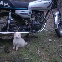 هندالیفان۲۰۰مزایدهبهشرط|موتورسیکلت|نوکنده, |دیوار