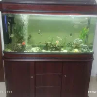 آکواریوم خارجی