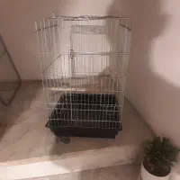 قفس پرندگان