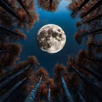 مدارک گم شده ابولفضل مرادی