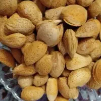 بادام امسال تازه وخوشمزه