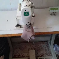 الیک کامپوتری زوجی