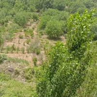 باغ-سیب-و-گردو