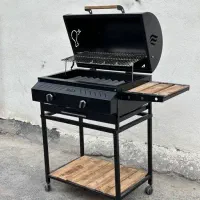 گریل ذغالی مجهز