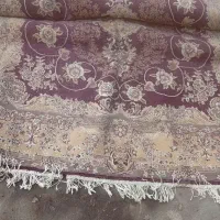 فرش در حد نو|فرش|سنگر, |دیوار