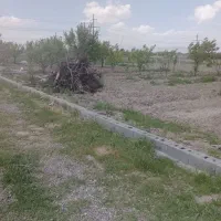 باغچه|فروش دفتر صنعتی، کشاورزی، تجاری|ارومیه, |دیوار