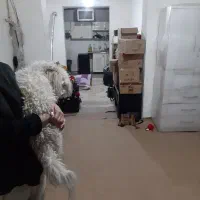 اجاره  یک طبقه مجردی یاخانواده