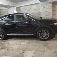 دیگنینی پرایم   مارون