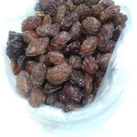 آلو خونساری