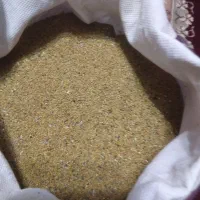 بذر یونجه