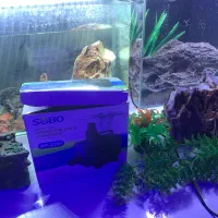 آکواریوم با تمامی تجهیزات|ماهی|لنگرود, |دیوار