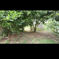 ۶۷۰ مترباغ ویلاجای دنج روستایی سنگررشت|فروش خانه و ویلا|سنگر, |دیوار